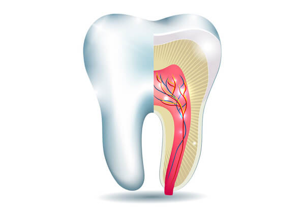 Endodontia Microscópica